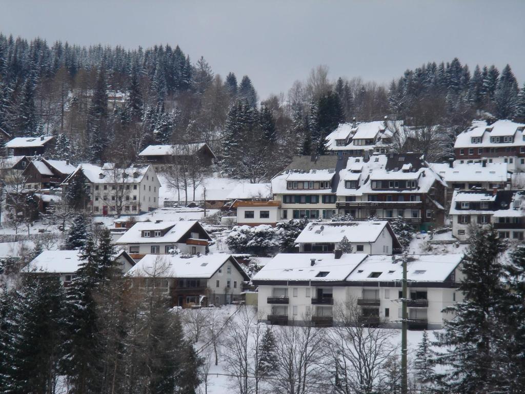 Pension Restaurant Waldblick Feldberg  Exteriör bild