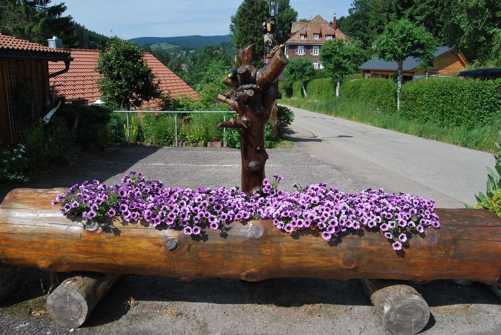 Pension Restaurant Waldblick Feldberg  Exteriör bild